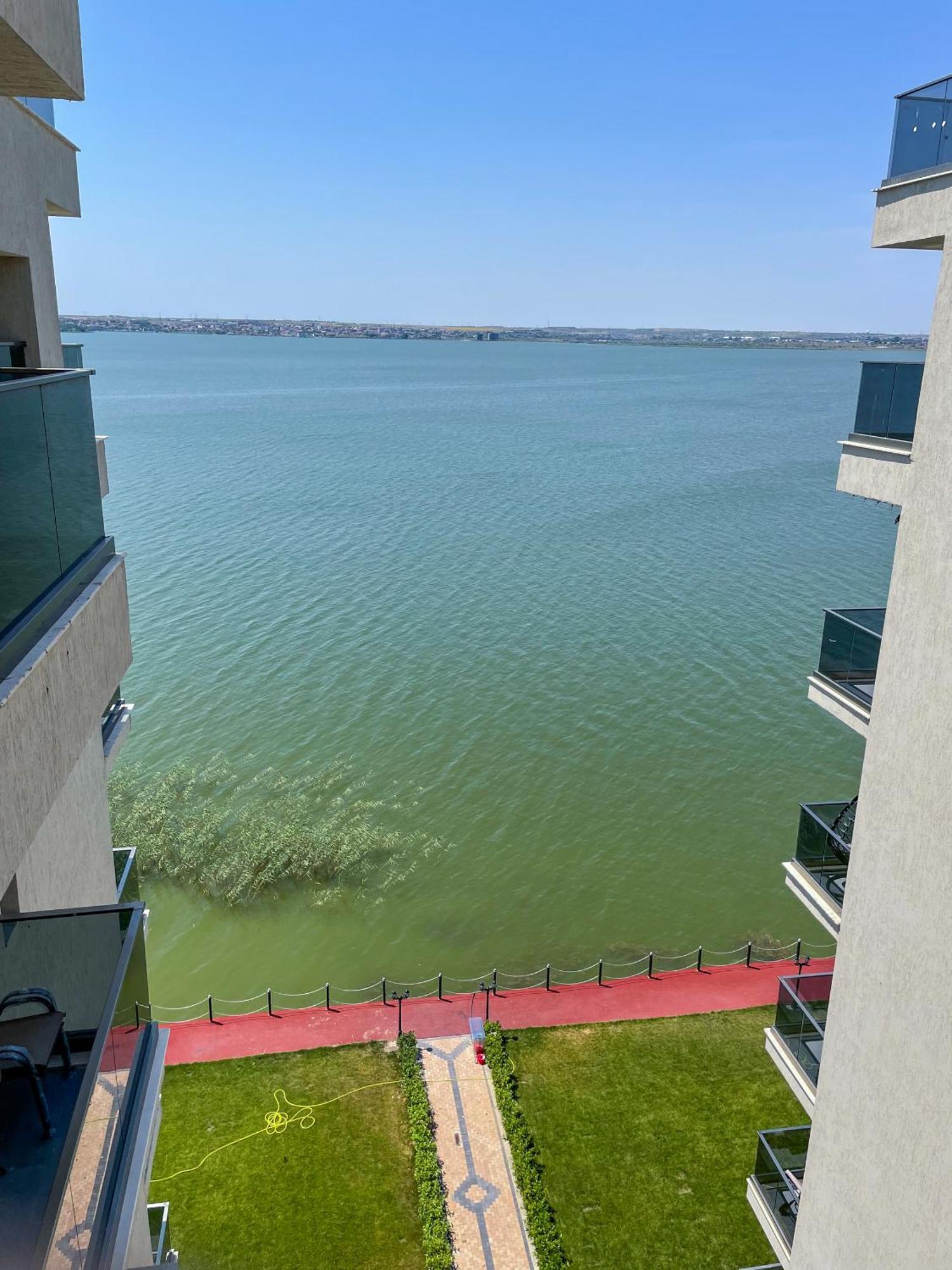 Azure Sea Apartments - Bychoice Mamaia Chambre photo